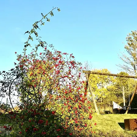 Seedorf By Rujana * Sellin (Usedom)