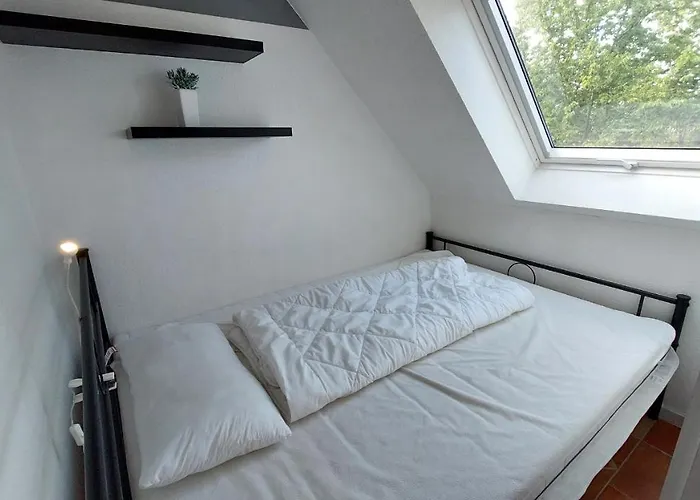 Seedorf By Rujana 塞林